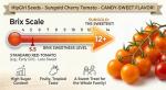 Sun Gold Cherry Tomato Seeds - Non-GMO for Home Gardening
