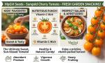 Sun Gold Cherry Tomato Seeds - Non-GMO for Home Gardening