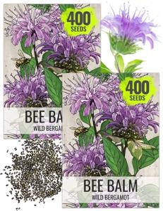 Wild Bergamot Bee Balm Seeds - 400 Heirloom Seeds