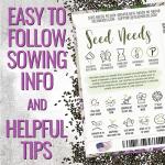 Wild Bergamot Bee Balm Seeds - 400 Heirloom Seeds