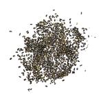 Wild Bergamot Bee Balm Seeds - 400 Heirloom Seeds