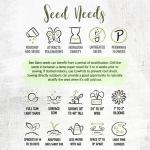 Wild Bergamot Bee Balm Seeds - 400 Heirloom Seeds