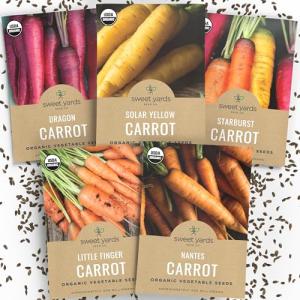 Organic Carrot Seeds Variety Pack for Planting