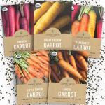 Organic Carrot Seeds Variety Pack for Planting