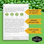 Oregon Sugar Pod II & Sugar Daddy Snap Pea Seeds