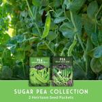 Oregon Sugar Pod II & Sugar Daddy Snap Pea Seeds