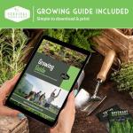 Oregon Sugar Pod II & Sugar Daddy Snap Pea Seeds