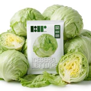 500 Heirloom Iceberg Lettuce Seeds for Home Garden