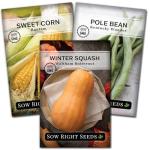 The Three Sisters Seed Collection - Non-GMO Garden Seeds