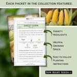 The Three Sisters Seed Collection - Non-GMO Garden Seeds