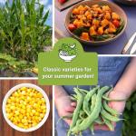 The Three Sisters Seed Collection - Non-GMO Garden Seeds