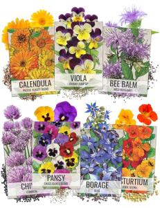 Edible Wildflower Seed Collection - 7 Varieties
