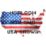 Heirloom Viroflay Spinach Seeds - 500 Count