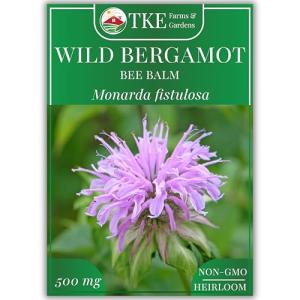 Wild Bergamot Bee Balm Seeds - 1000+ Non-GMO
