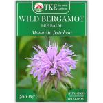 Wild Bergamot Bee Balm Seeds - 1000+ Non-GMO