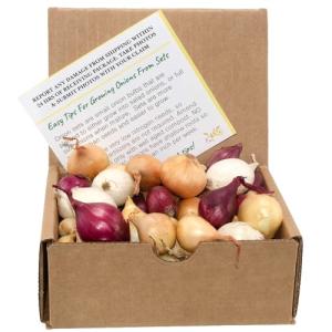 Mixed Onion Bulbs Set - Red, White, Yellow