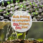 Organic Detroit Dark Red Beet Seeds - 125 Count