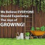 Organic Detroit Dark Red Beet Seeds - 125 Count