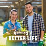 Organic Detroit Dark Red Beet Seeds - 125 Count