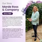 Delicious Pink Ponderosa Heirloom Tomato Seeds