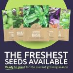 Basil Seeds Variety Pack - 8 Non-GMO Options
