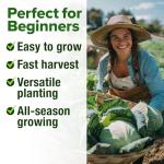 Home Grown 7 Varieties Cabbage Seeds for Planting