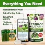 Home Grown 7 Varieties Cabbage Seeds for Planting