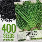 Chives Seed Collection: Garlic & Common Varieties
