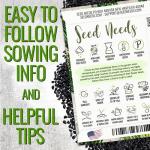 Chives Seed Collection: Garlic & Common Varieties