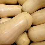 Three Sisters Garden Seed Pack by Wayland Chiles