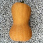 Three Sisters Garden Seed Pack by Wayland Chiles