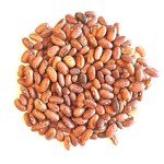 Three Sisters Garden Seed Pack by Wayland Chiles