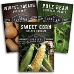 Three Sisters Garden Seeds Collection - Non-GMO Heirloom