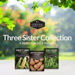 Three Sisters Garden Seeds Collection - Non-GMO Heirloom