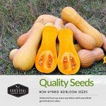 Three Sisters Garden Seeds Collection - Non-GMO Heirloom