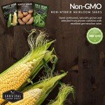 Three Sisters Garden Seeds Collection - Non-GMO Heirloom