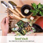 Three Sisters Garden Seeds Collection - Non-GMO Heirloom