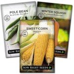 The Three Sisters Seed Collection - Non-GMO Garden Seeds