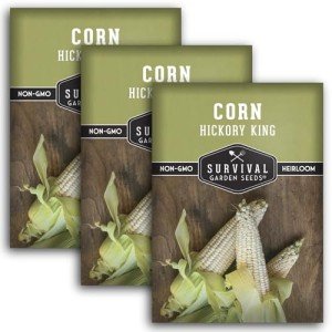 Hickory King Corn Seed - 3 Packets for Growing