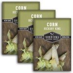 Hickory King Corn Seed - 3 Packets for Growing