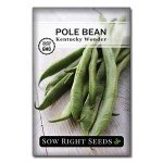 The Three Sisters Seed Collection - Non-GMO Garden Seeds