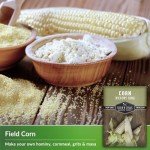 Hickory King Corn Seed - 3 Packets for Growing