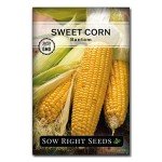 The Three Sisters Seed Collection - Non-GMO Garden Seeds
