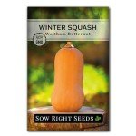 The Three Sisters Seed Collection - Non-GMO Garden Seeds