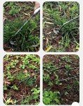 Durable Portable Weed Puller Tool for Gardens