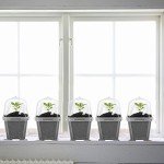 30PCS Clear Plant Nursery Pots with Humidity Dome