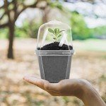 30PCS Clear Plant Nursery Pots with Humidity Dome