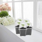 30PCS Clear Plant Nursery Pots with Humidity Dome