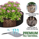 15 Gallon Fabric Grow Bags for Outdoor Plants