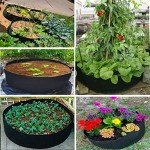 15 Gallon Fabric Grow Bags for Outdoor Plants